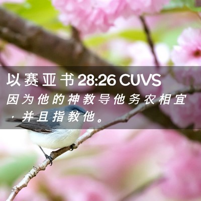 Picture 02 - 以 赛 亚 书 28:26 CUVS - 因 为 他 的 神 教 导 他 务 农 相 宜 - Bible Verse Picture