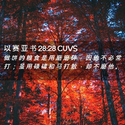Picture 02 - 以 赛 亚 书 28:28 CUVS - 做 饼 的 粮 食 是 用 磨 磨 碎 ， 因 - Bible Verse Picture