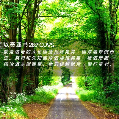 Picture 02 - 以 赛 亚 书 28:7 CUVS - 就 是 这 地 的 人 也 因 酒 摇 摇 晃 - Bible Verse Picture