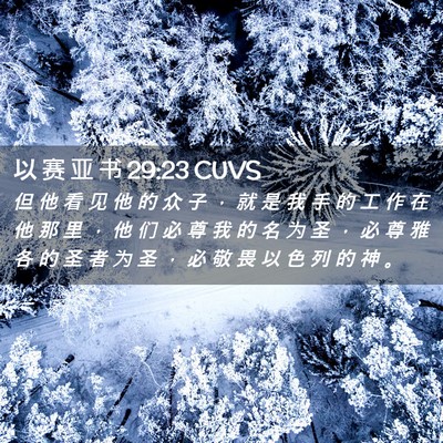 Picture 02 - 以 赛 亚 书 29:23 CUVS - 但 他 看 见 他 的 众 子 ， 就 是 我 - Bible Verse Picture