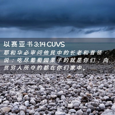 Picture 02 - 以 赛 亚 书 3:14 CUVS - 耶 和 华 必 审 问 他 民 中 的 长 老 - Bible Verse Picture