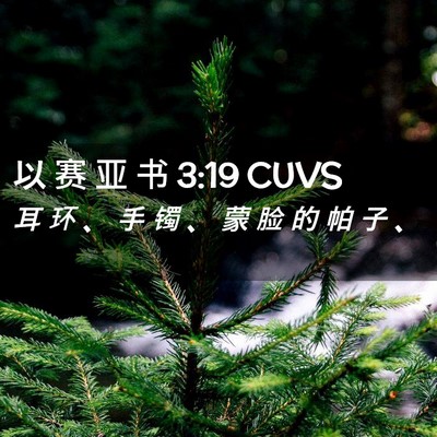 Picture 02 - 以 赛 亚 书 3:19 CUVS - 耳 环 、 手 镯 、 蒙 脸 的 帕 子 - Bible Verse Picture