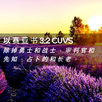 Picture 02 - 以 赛 亚 书 3:2 CUVS - 除 掉 勇 士 和 战 士 ， 审 判 官 和 - Bible Verse Picture