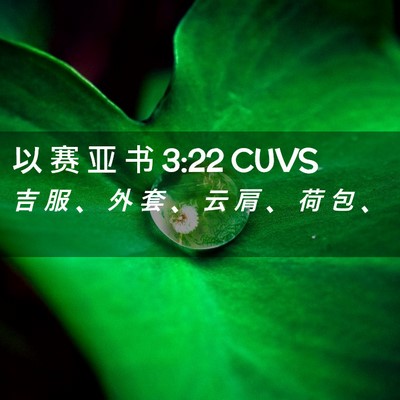 Picture 02 - 以 赛 亚 书 3:22 CUVS - 吉 服 、 外 套 、 云 肩 、 荷 包 - Bible Verse Picture