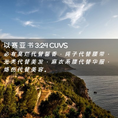 Picture 02 - 以 赛 亚 书 3:24 CUVS - 必 有 臭 烂 代 替 馨 香 ， 绳 子 代 - Bible Verse Picture