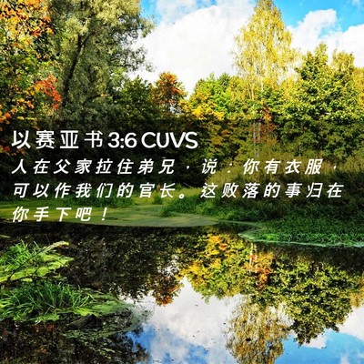 Picture 02 - 以 赛 亚 书 3:6 CUVS - 人 在 父 家 拉 住 弟 兄 ， 说 ： 你 - Bible Verse Picture