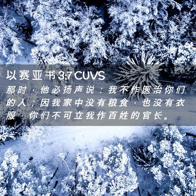 Picture 02 - 以 赛 亚 书 3:7 CUVS - 那 时 ， 他 必 扬 声 说 ： 我 不 作 - Bible Verse Picture
