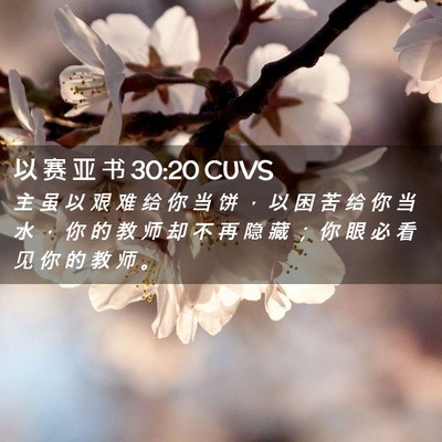 Picture 02 - 以 赛 亚 书 30:20 CUVS - 主 虽 以 艰 难 给 你 当 饼 ， 以 困 - Bible Verse Picture