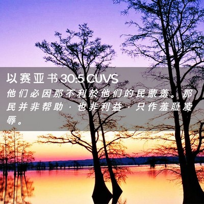 Picture 02 - 以 赛 亚 书 30:5 CUVS - 他 们 必 因 那 不 利 於 他 们 的 民 - Bible Verse Picture