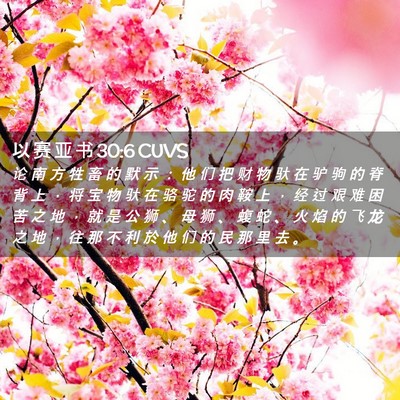 Picture 02 - 以 赛 亚 书 30:6 CUVS - 论 南 方 牲 畜 的 默 示 ： 他 们 把 - Bible Verse Picture