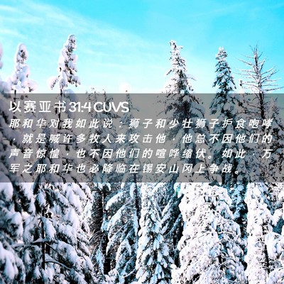 Picture 02 - 以 赛 亚 书 31:4 CUVS - 耶 和 华 对 我 如 此 说 ： 狮 子 和 - Bible Verse Picture