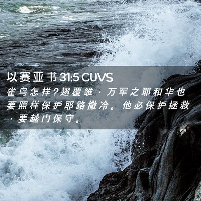 Picture 02 - 以 赛 亚 书 31:5 CUVS - 雀 鸟 怎 样 ? 翅 覆 雏 ， 万 军 之 耶 - Bible Verse Picture