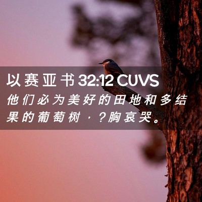 Picture 02 - 以 赛 亚 书 32:12 CUVS - 他 们 必 为 美 好 的 田 地 和 多 结 - Bible Verse Picture