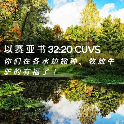 Picture 02 - 以 赛 亚 书 32:20 CUVS - 你 们 在 各 水 边 撒 种 、 牧 放 牛 - Bible Verse Picture