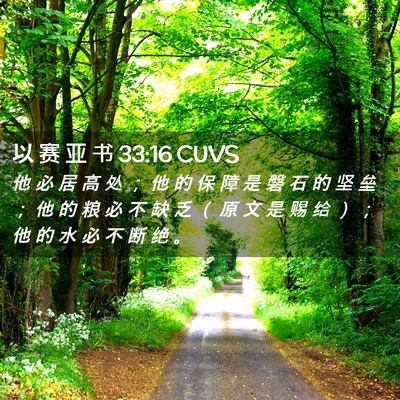 Picture 02 - 以 赛 亚 书 33:16 CUVS - 他 必 居 高 处 ； 他 的 保 障 是 磐 - Bible Verse Picture