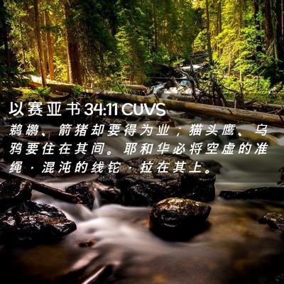 Picture 02 - 以 赛 亚 书 34:11 CUVS - 鹈 鹕 、 箭 猪 却 要 得 为 业 ； 猫 - Bible Verse Picture