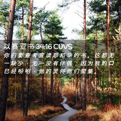 Picture 02 - 以 赛 亚 书 34:16 CUVS - 你 们 要 查 考 宣 读 耶 和 华 的 书 - Bible Verse Picture