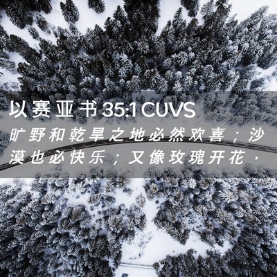 Picture 02 - 以 赛 亚 书 35:1 CUVS - 旷 野 和 乾 旱 之 地 必 然 欢 喜 ； - Bible Verse Picture