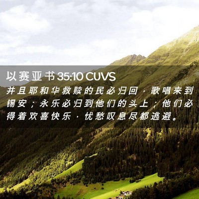 Picture 02 - 以 赛 亚 书 35:10 CUVS - 并 且 耶 和 华 救 赎 的 民 必 归 回 - Bible Verse Picture