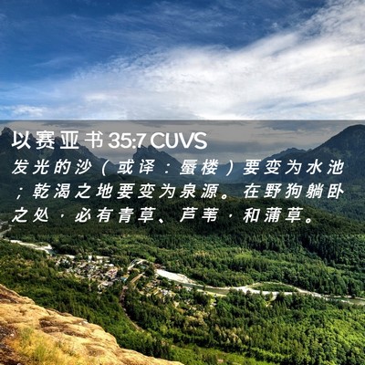 Picture 02 - 以 赛 亚 书 35:7 CUVS - 发 光 的 沙 （ 或 译 ： 蜃 楼 ） 要 - Bible Verse Picture