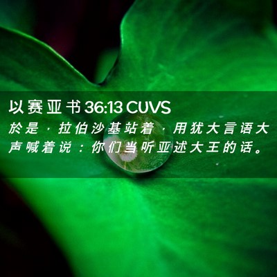 Picture 02 - 以 赛 亚 书 36:13 CUVS - 於 是 ， 拉 伯 沙 基 站 着 ， 用 犹 - Bible Verse Picture
