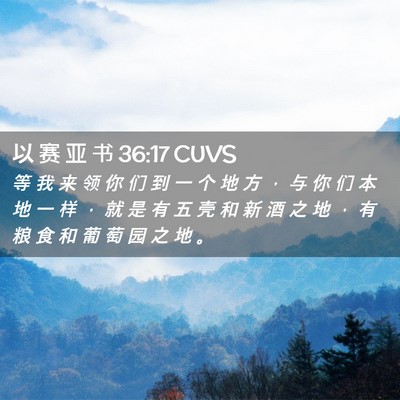 Picture 02 - 以 赛 亚 书 36:17 CUVS - 等 我 来 领 你 们 到 一 个 地 方 ， - Bible Verse Picture