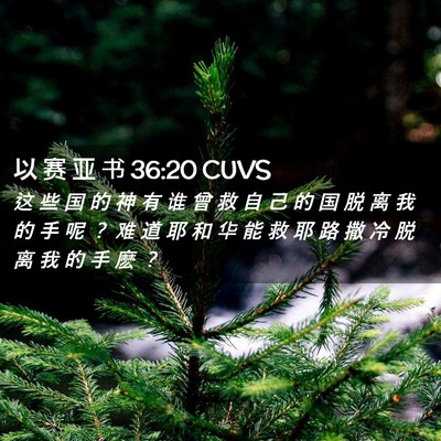 Picture 02 - 以 赛 亚 书 36:20 CUVS - 这 些 国 的 神 有 谁 曾 救 自 己 的 - Bible Verse Picture