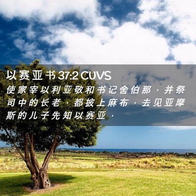 Picture 02 - 以 赛 亚 书 37:2 CUVS - 使 家 宰 以 利 亚 敬 和 书 记 舍 伯 - Bible Verse Picture