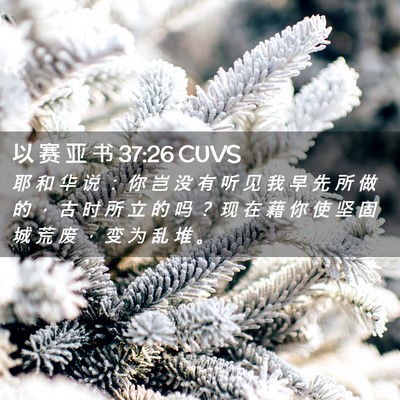 Picture 02 - 以 赛 亚 书 37:26 CUVS - 耶 和 华 说 ： 你 岂 没 有 听 见 我 - Bible Verse Picture