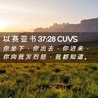 Picture 02 - 以 赛 亚 书 37:28 CUVS - 你 坐 下 ， 你 出 去 ， 你 进 来 ， - Bible Verse Picture