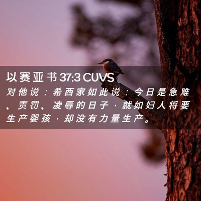 Picture 02 - 以 赛 亚 书 37:3 CUVS - 对 他 说 ： 希 西 家 如 此 说 ： 今 - Bible Verse Picture