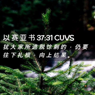 Picture 02 - 以 赛 亚 书 37:31 CUVS - 犹 大 家 所 逃 脱 馀 剩 的 ， 仍 要 - Bible Verse Picture