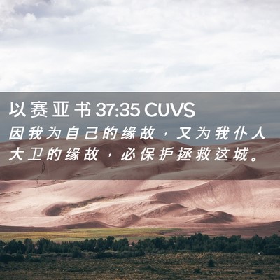 Picture 02 - 以 赛 亚 书 37:35 CUVS - 因 我 为 自 己 的 缘 故 ， 又 为 我 - Bible Verse Picture
