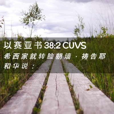 Picture 02 - 以 赛 亚 书 38:2 CUVS - 希 西 家 就 转 脸 朝 墙 ， 祷 告 耶 - Bible Verse Picture