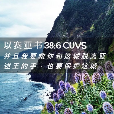 Picture 02 - 以 赛 亚 书 38:6 CUVS - 并 且 我 要 救 你 和 这 城 脱 离 亚 - Bible Verse Picture