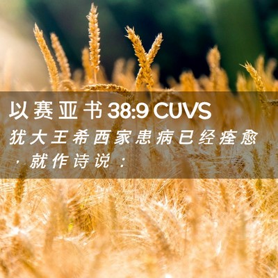 Picture 02 - 以 赛 亚 书 38:9 CUVS - 犹 大 王 希 西 家 患 病 已 经 痊 愈 - Bible Verse Picture