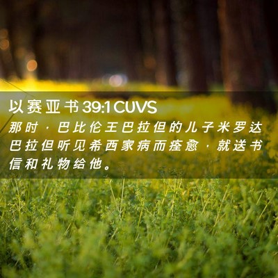 Picture 02 - 以 赛 亚 书 39:1 CUVS - 那 时 ， 巴 比 伦 王 巴 拉 但 的 儿 - Bible Verse Picture