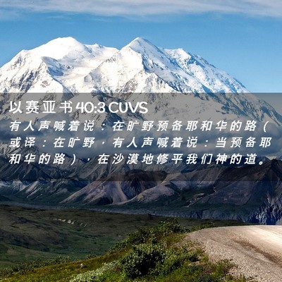 Picture 02 - 以 赛 亚 书 40:3 CUVS - 有 人 声 喊 着 说 ： 在 旷 野 预 备 - Bible Verse Picture