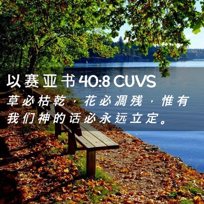 Picture 02 - 以 赛 亚 书 40:8 CUVS - 草 必 枯 乾 ， 花 必 凋 残 ， 惟 有 - Bible Verse Picture