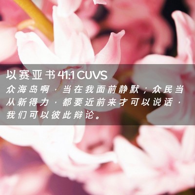Picture 02 - 以 赛 亚 书 41:1 CUVS - 众 海 岛 啊 ， 当 在 我 面 前 静 默 - Bible Verse Picture