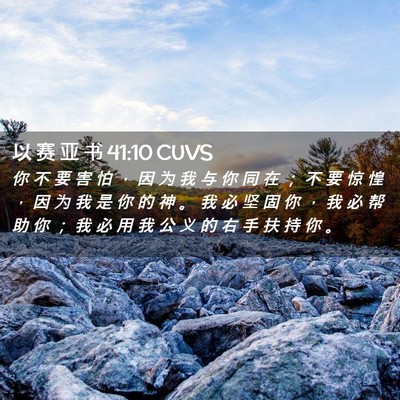 Picture 02 - 以 赛 亚 书 41:10 CUVS - 你 不 要 害 怕 ， 因 为 我 与 你 同 - Bible Verse Picture