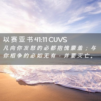 Picture 02 - 以 赛 亚 书 41:11 CUVS - 凡 向 你 发 怒 的 必 都 抱 愧 蒙 羞 - Bible Verse Picture