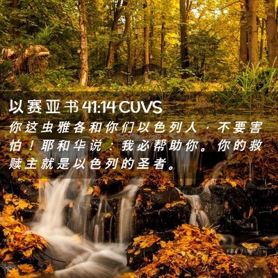 Picture 02 - 以 赛 亚 书 41:14 CUVS - 你 这 虫 雅 各 和 你 们 以 色 列 人 - Bible Verse Picture