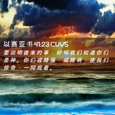 Picture 02 - 以 赛 亚 书 41:23 CUVS - 要 说 明 後 来 的 事 ， 好 叫 我 们 - Bible Verse Picture