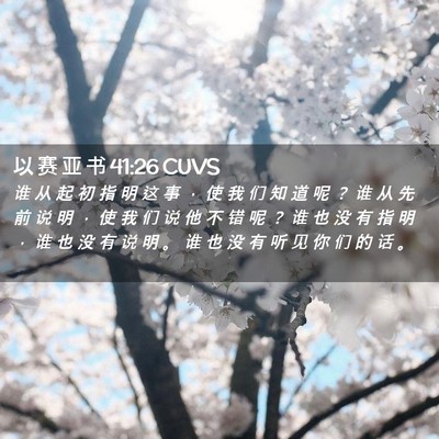 Picture 02 - 以 赛 亚 书 41:26 CUVS - 谁 从 起 初 指 明 这 事 ， 使 我 们 - Bible Verse Picture