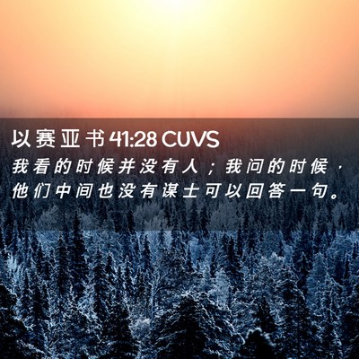 Picture 02 - 以 赛 亚 书 41:28 CUVS - 我 看 的 时 候 并 没 有 人 ； 我 问 - Bible Verse Picture