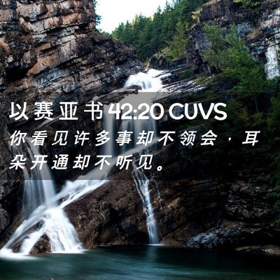 Picture 02 - 以 赛 亚 书 42:20 CUVS - 你 看 见 许 多 事 却 不 领 会 ， 耳 - Bible Verse Picture