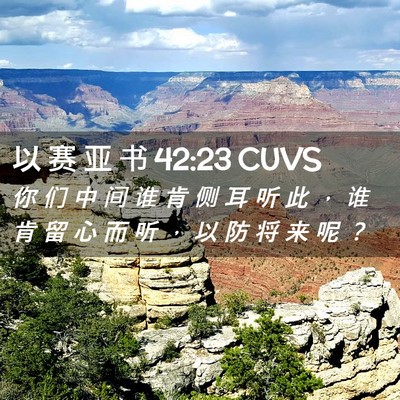 Picture 02 - 以 赛 亚 书 42:23 CUVS - 你 们 中 间 谁 肯 侧 耳 听 此 ， 谁 - Bible Verse Picture