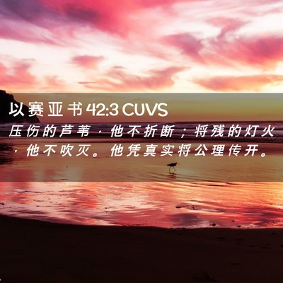 Picture 02 - 以 赛 亚 书 42:3 CUVS - 压 伤 的 芦 苇 ， 他 不 折 断 ； 将 - Bible Verse Picture