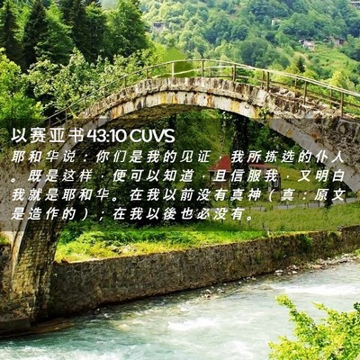 Picture 02 - 以 赛 亚 书 43:10 CUVS - 耶 和 华 说 ： 你 们 是 我 的 见 证 - Bible Verse Picture